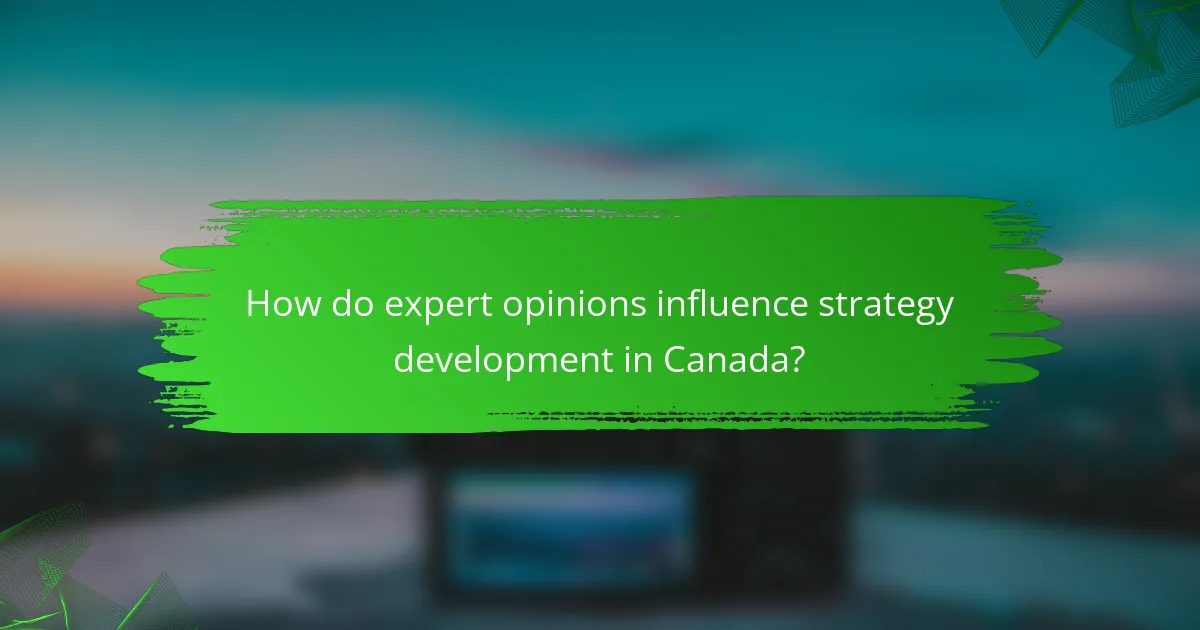 How do expert opinions influence strategy development in Canada?